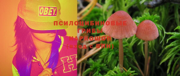 прущая мука Гусиноозёрск