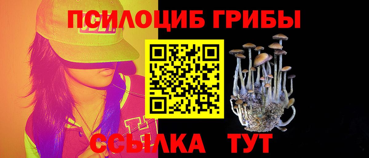 Сальск  Псилоцибиновые грибы Psilocybe  Вход с VPN 
